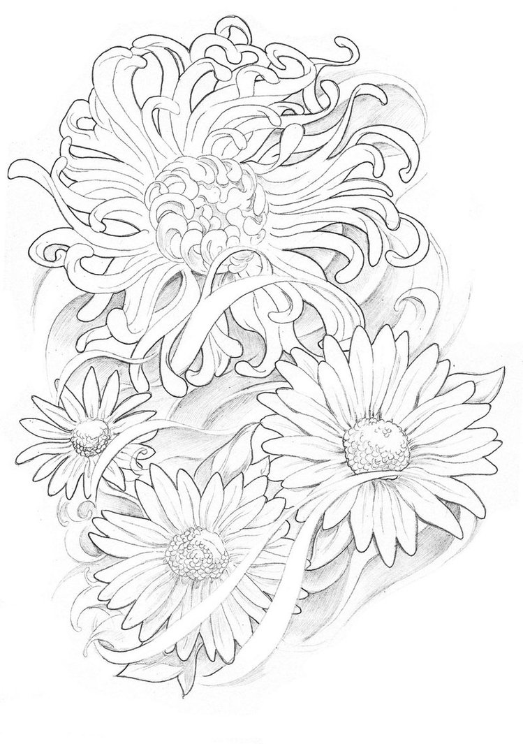 design 纹身手稿 设计图 手绘 线稿 白描 线描 菊花 花朵 雏菊 素描