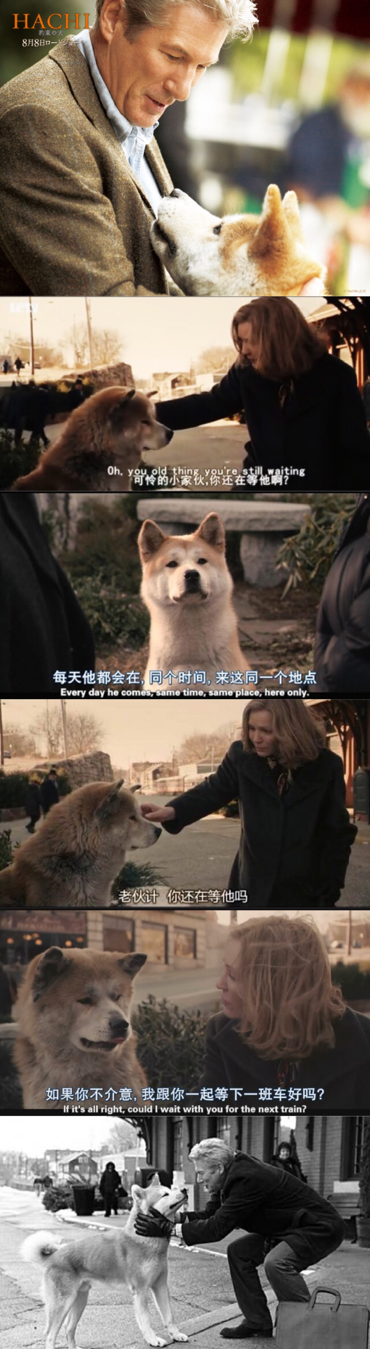 这是一只秋田犬的故事"忠犬八公"应该很多人都看过,非常经典!