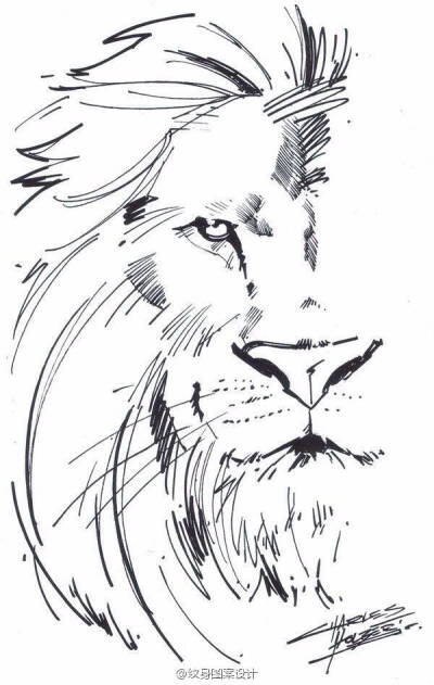 狮子手绘图狮子纹身素材