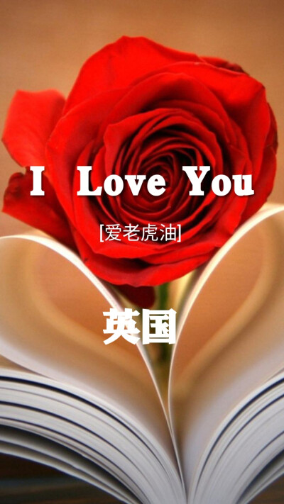 [520用各国语言说"我爱你#月份壁纸#节日壁纸#风景#花朵#文字#图片