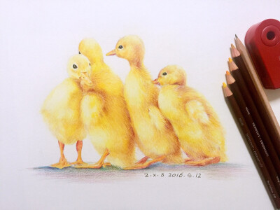 彩铅 彩铅画 彩铅小鸭子 彩铅动物 绘画 原创 手绘 插画 插画师 作品