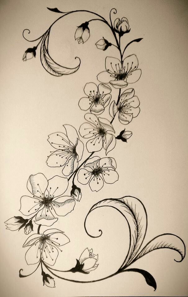 tattoo idea, art design 手绘,黑白,线稿,飞蛾,抽象,创意,纹身手稿