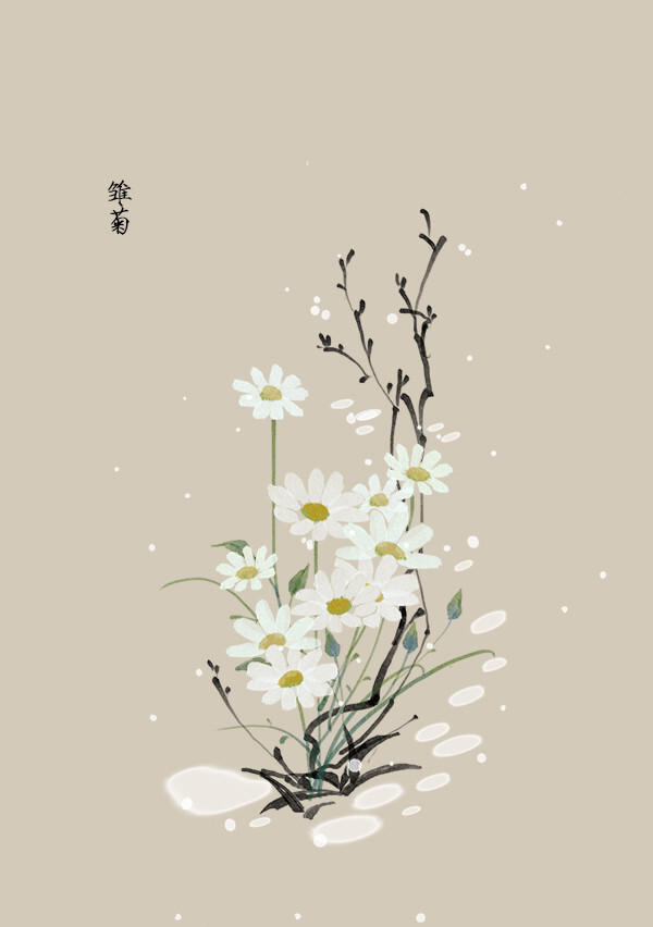 花草,水墨,封面,淡雅,唯美,插画,古风