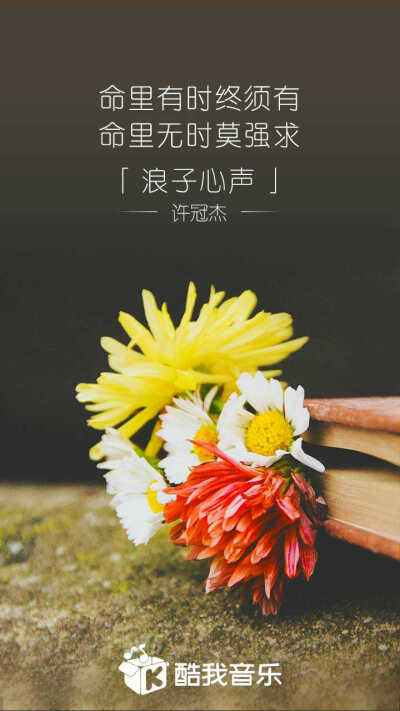 命里有时终须有,命里无时莫强求——许冠杰《浪子心声》