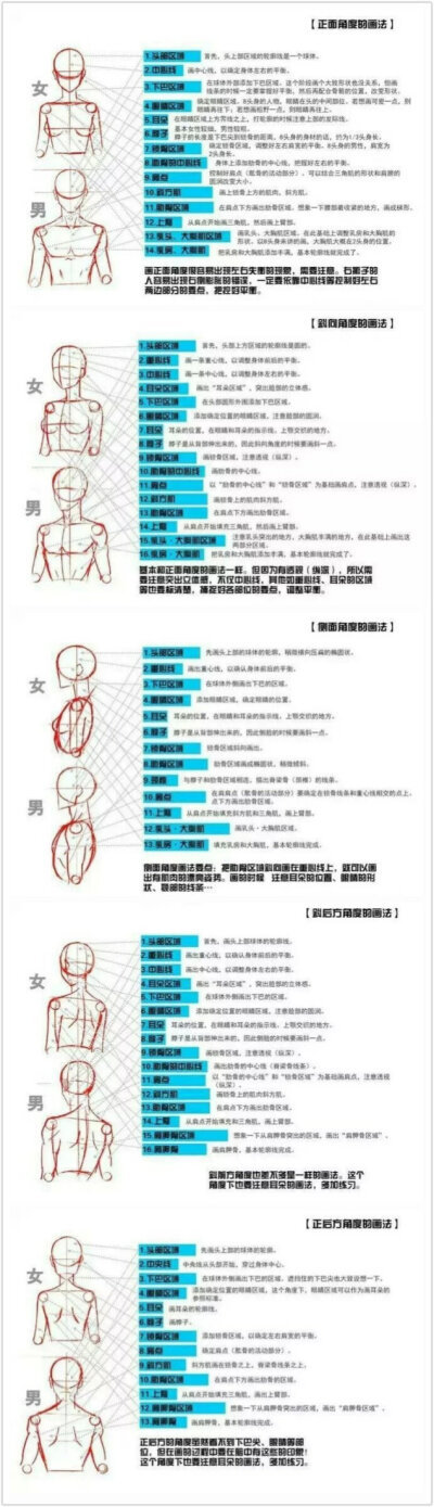 人体上半身多角度绘画教程