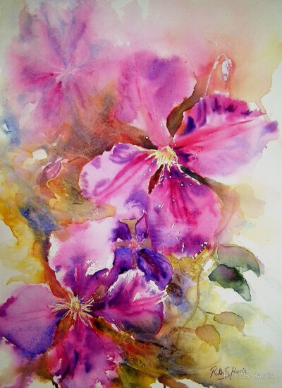 用颜色分类的水彩花卉——粉色 | 绘画:英国水彩画家ruth s harris