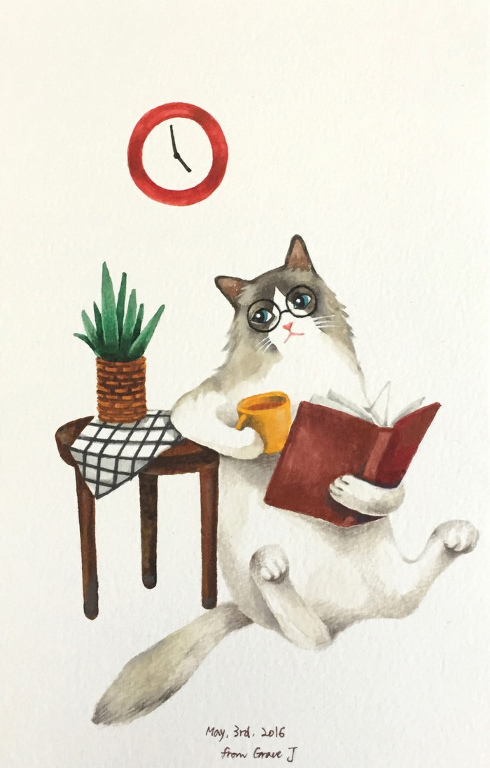 看书 水彩 gracej 猫咪插画