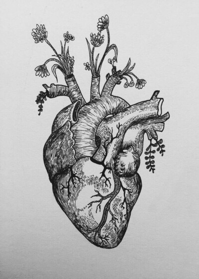 心脏