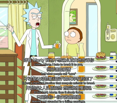 【瑞克和莫蒂】rick and morty/爱情/文字/句子/经典台词/表情/负能量