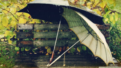 雨中伞