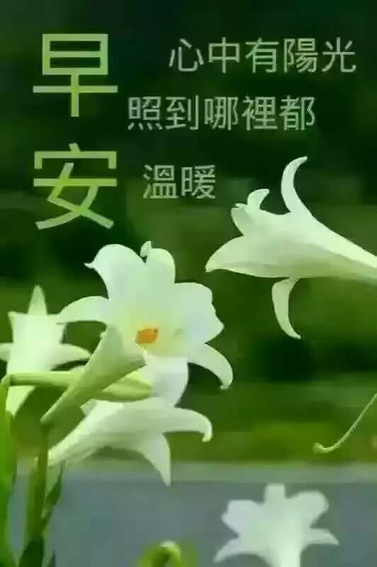 早安物语