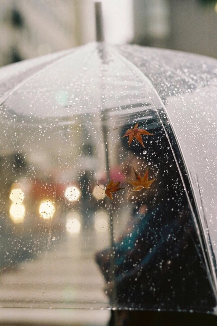 女生人物,下雨天手机壁纸