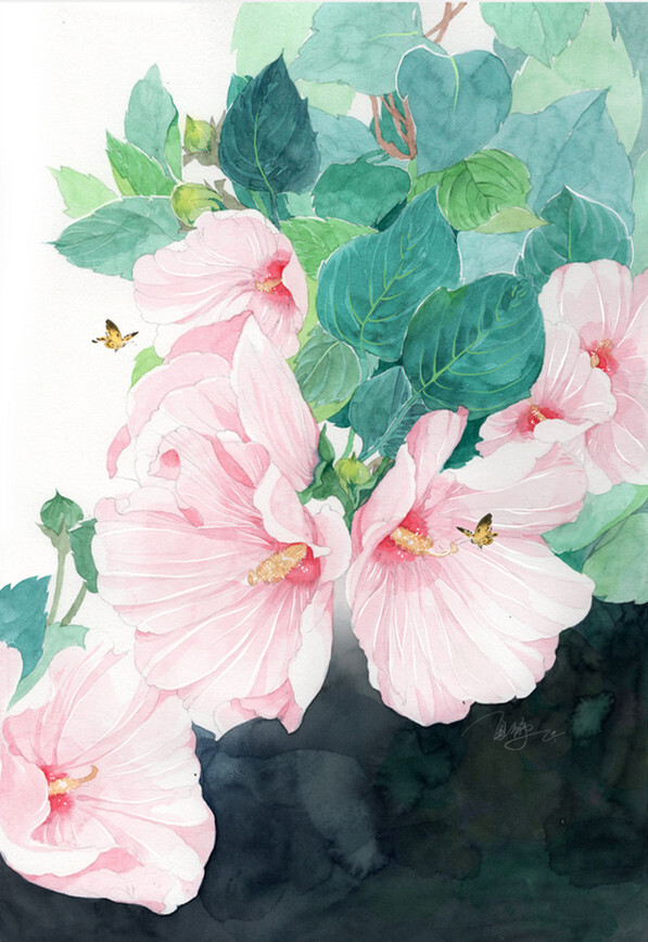 作者 夏静 水彩花卉 堆糖 美图壁纸兴趣社区