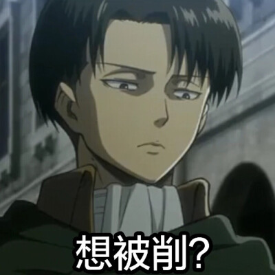 利威尔兵长levi