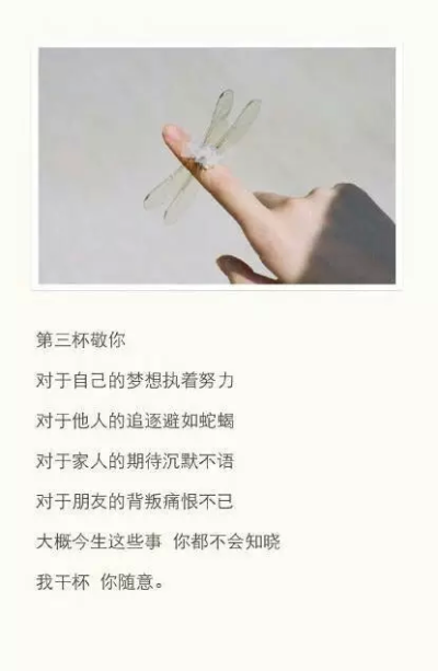 我自倾杯君且随意 - 堆糖,美图壁纸兴趣社区