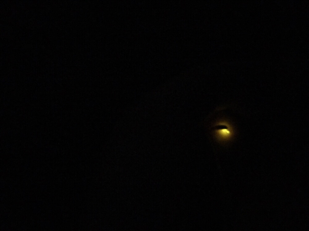 晚上去山里看萤火虫