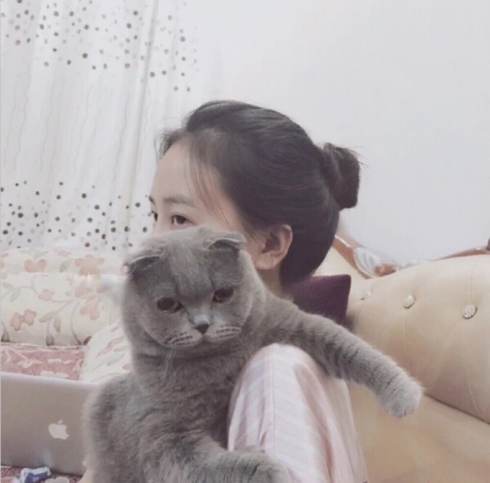 与心爱的猫猫 猫咪 合照的头像你有多少!