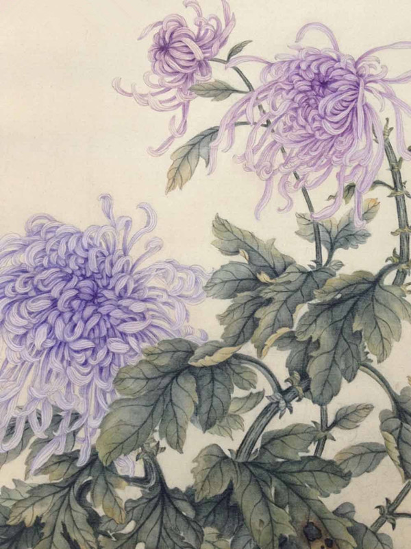 菊花是中国十大名花之三,花中四君子(梅兰竹菊)之一,也是世界四大切花