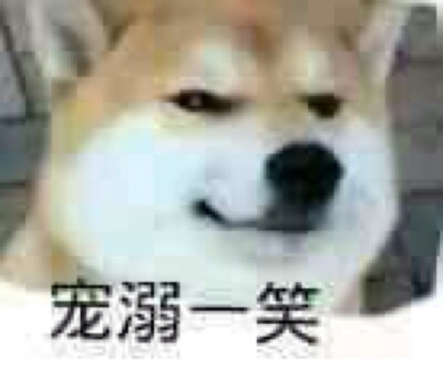 doge表情包