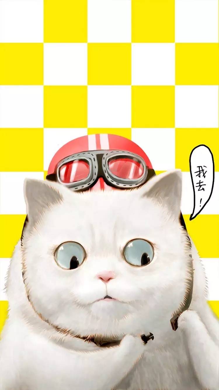 胖猫