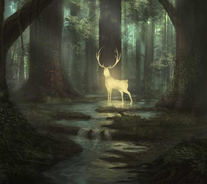 森林 麋鹿 手绘 插画
