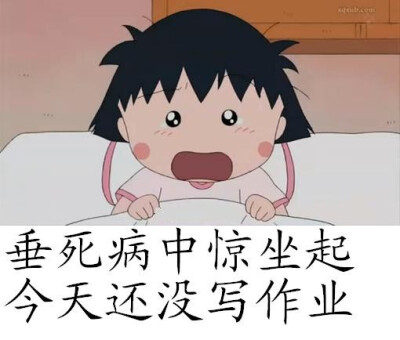 小丸子努力