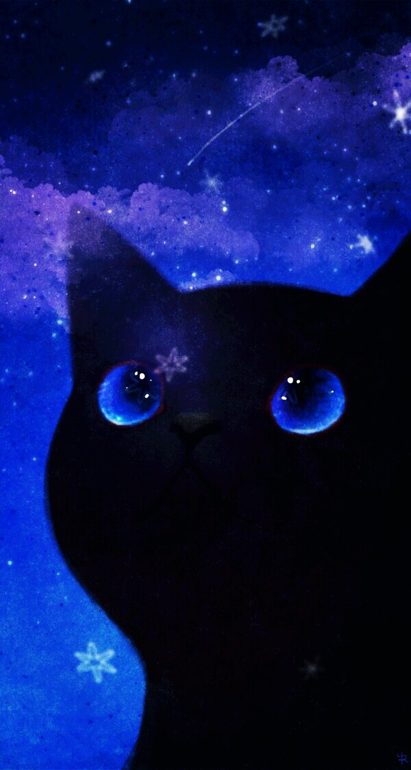 星空下的猫