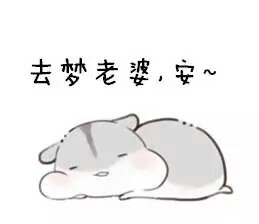小仓鼠表情包~萌萌哒的图片~可爱表情~情侣