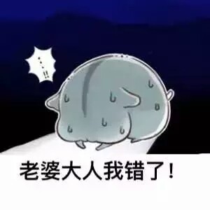老婆大人我错了 (_ _)> (_ _)> (_ _)>
