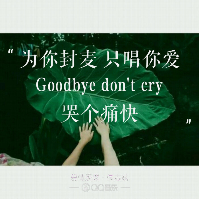 爱情废柴,周杰伦