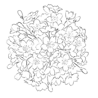 樱花 橡皮章