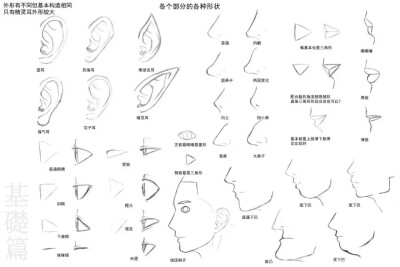 面部特征 侧脸 手绘教程 很齐全