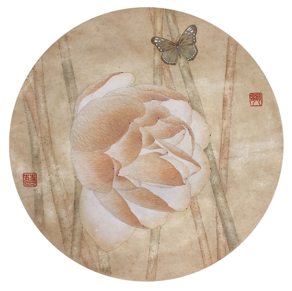 蔡春明原创工笔花鸟小品,荷花,蝴蝶,国画,工笔,淡彩