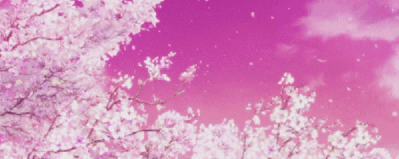 浪漫樱花