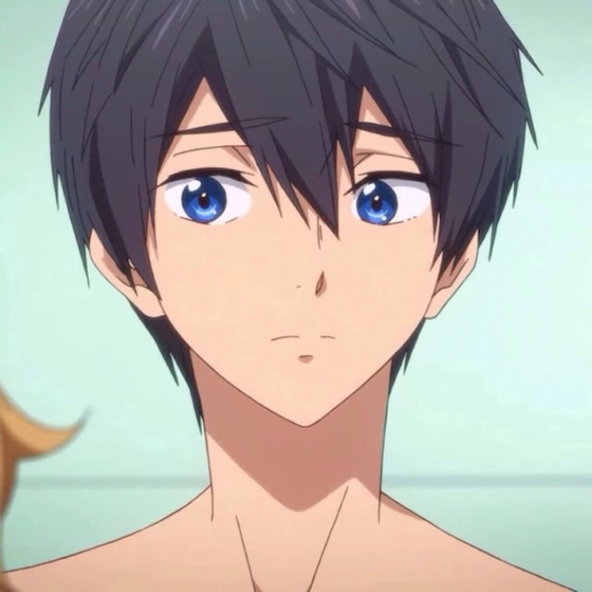 头像free剧场版 《high☆speed:free! starting days》