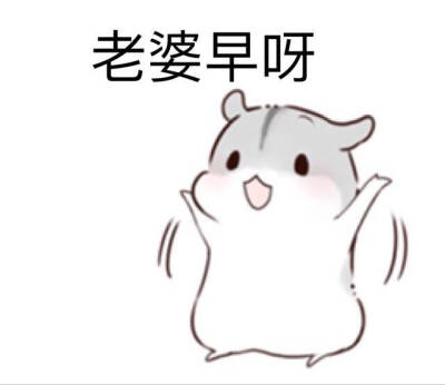 可爱仓鼠夫妇表情包
