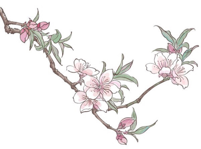 手绘藤蔓植物百合玫瑰樱花桃花花卉花环图案设计黑白手绘插画纹身图案