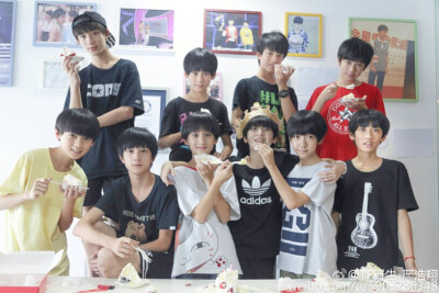 tf家族