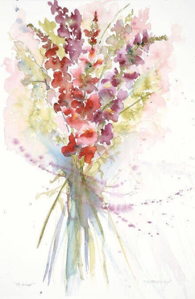 分享一组来自插画师sandra strohschein的小清新风格的花卉花朵水彩画