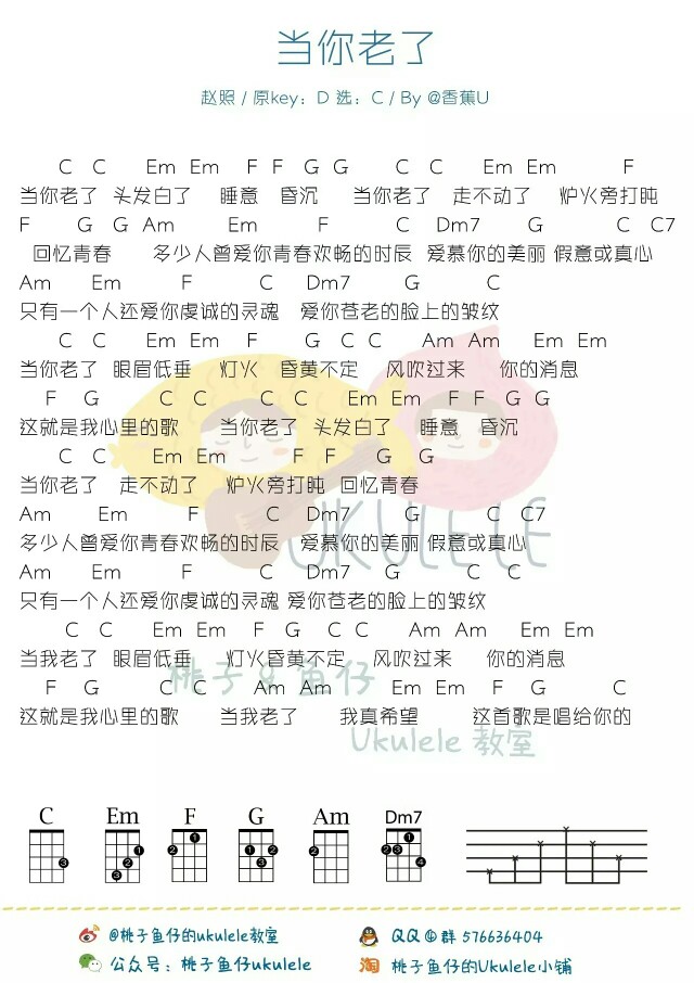 当你老了 最开始是读叶芝的诗 诗中的情感太深 后来听了赵照改编的歌