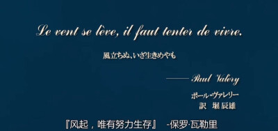 起风了,唯有努力生存