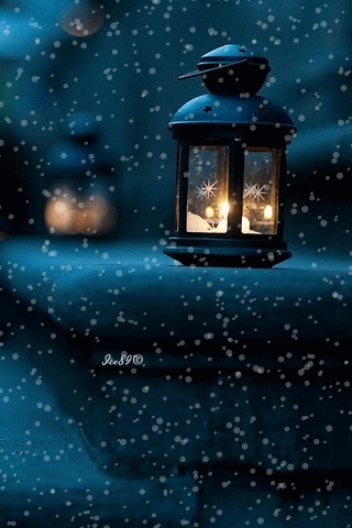 路灯下的雪很美 很静