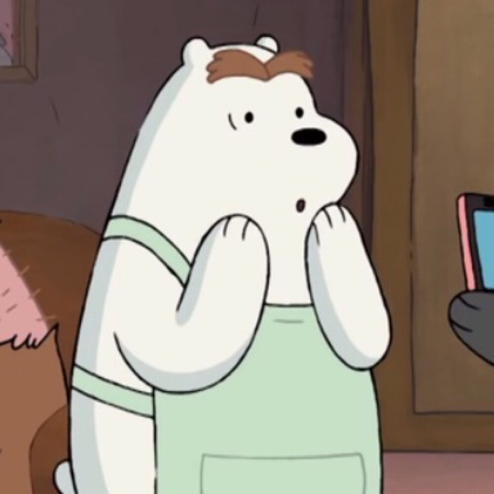 这是一部美国的动画片 主角是三只熊 做每一件事都超级热血的灰灰棕熊