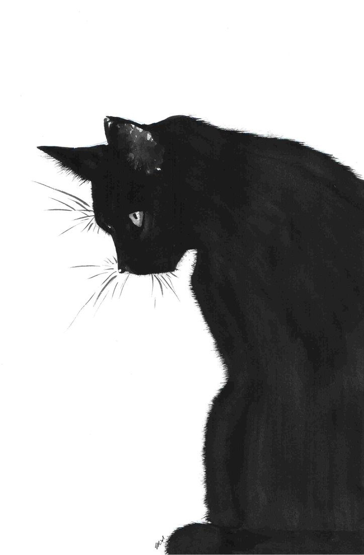 艺术 黑白 绘画 高清 壁纸 动物 猫 小清新 治愈 二次元 漫画 唯美
