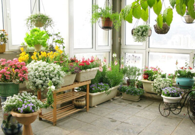 花房