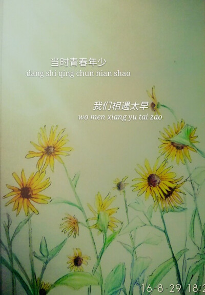 手绘彩铅 心向阳光《向日葵 喜欢的点赞哦