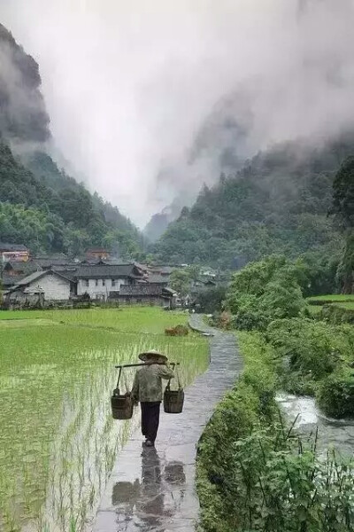 雨天,乡村