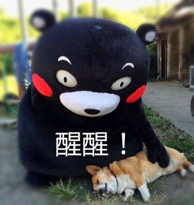 该醒醒表情包