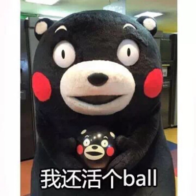 我还活个ball熊本熊表情包