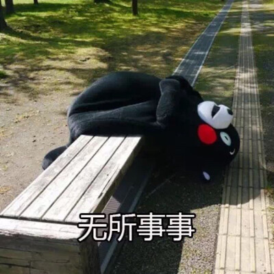 无所事事熊本熊表情包